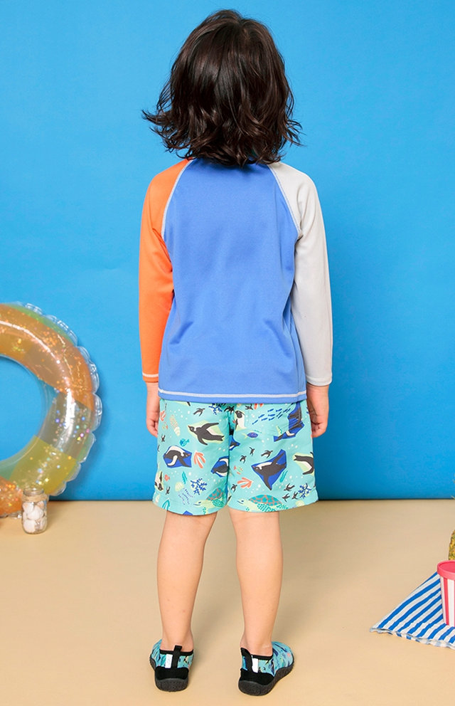 スタイリング（No.1739） FOKID