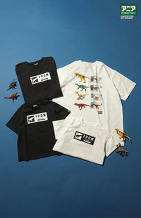 スタイリング（No.2425） FOKID