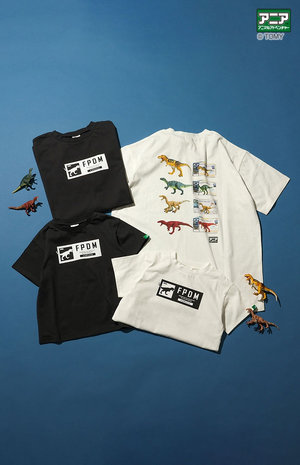 スタイリング（No.2425） FOKID