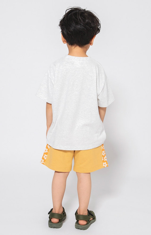 スタイリング（No.4268） FOKID