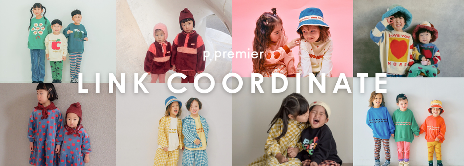 p.premier：LINK COORDINATE