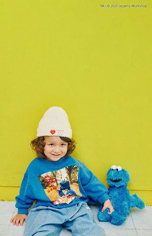 スタイリング（No.6512）