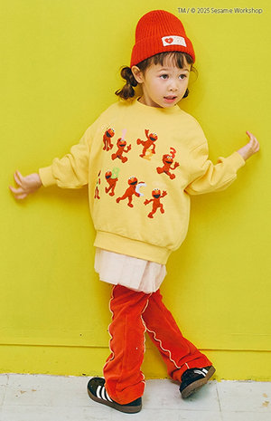 スタイリング（No.6509） FOKID