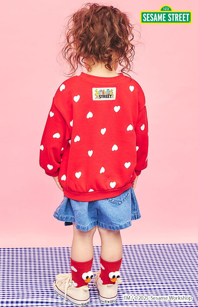 スタイリング（No.8065） FOKID