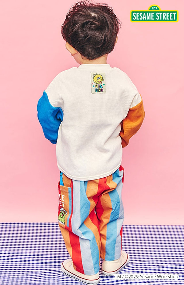 スタイリング（No.8079） FOKID