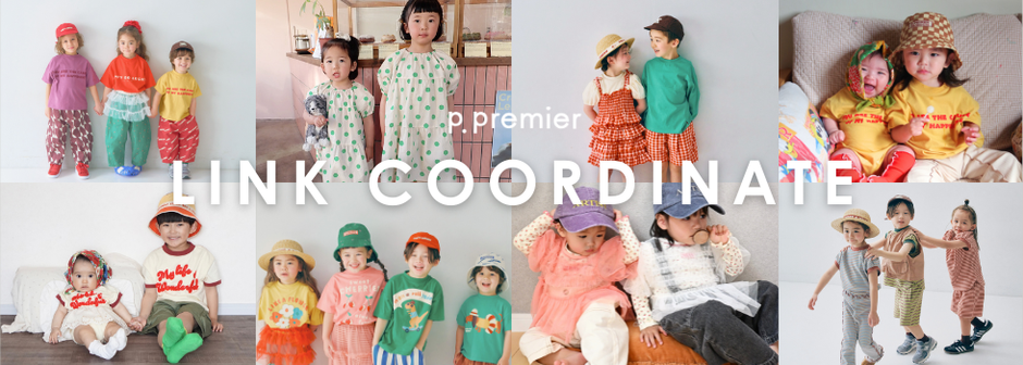 p.premier：LINK COORDINATE