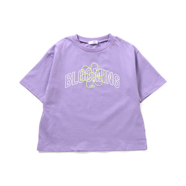 アソートカラバリT2