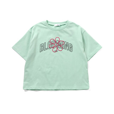 アソートカラバリT2