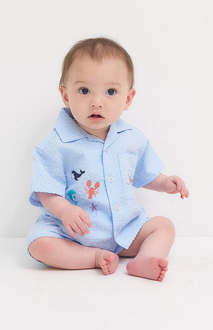 スタイリング（No.11607） FOKID